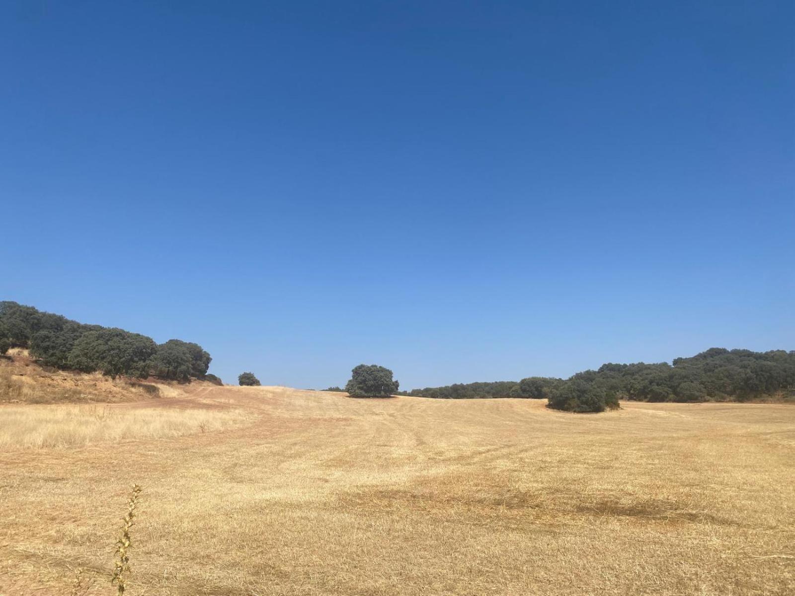 Casa Rural El Contarin - An Andalusian Escape, Archidona, Malaga Kültér fotó