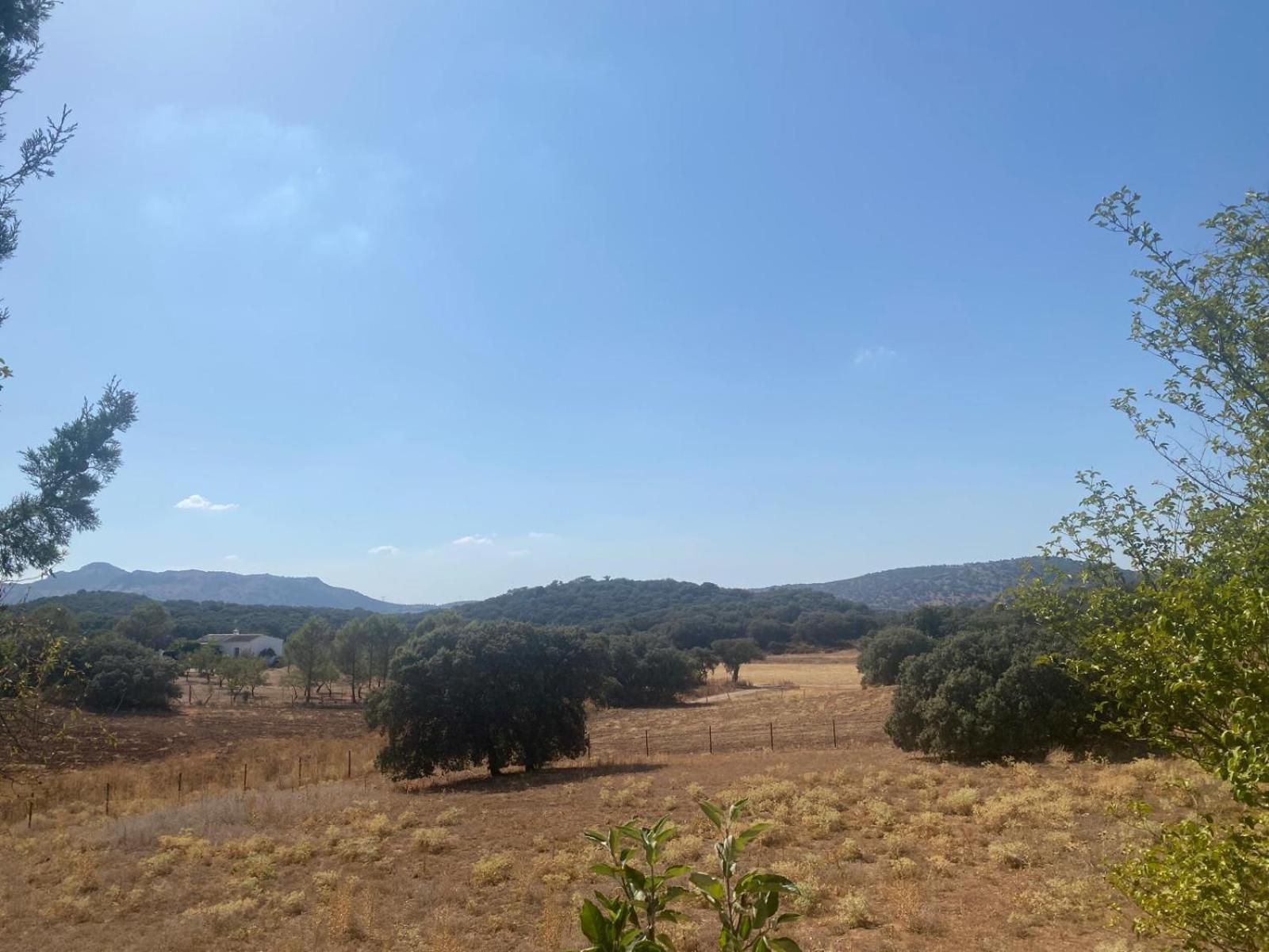 Casa Rural El Contarin - An Andalusian Escape, Archidona, Malaga Kültér fotó