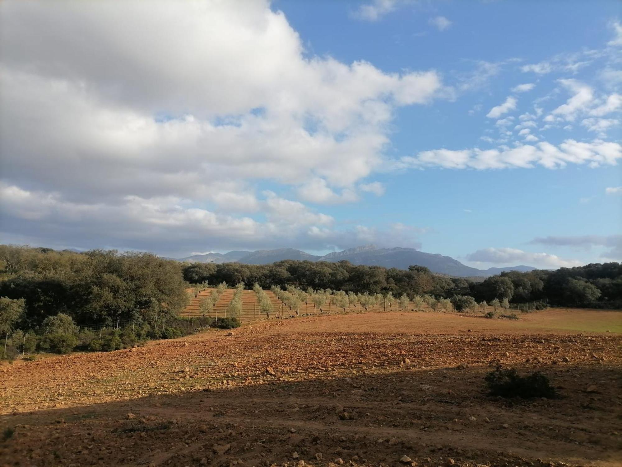 Casa Rural El Contarin - An Andalusian Escape, Archidona, Malaga Kültér fotó